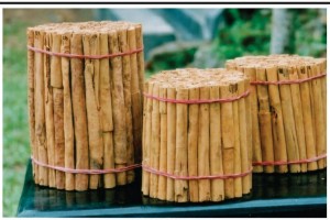 Ceylon Cinnamon (Cinnamomum Zeylanicum) from Sri Lanka